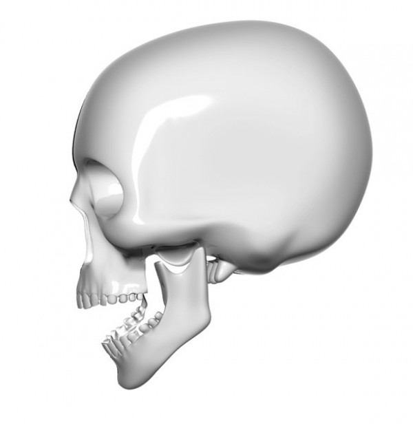 Side View Human Skull Icon PSD white web unique ui elements ui skull side view quality psd original new modern interface icon human skull hi-res HD fresh free download free elements download detailed design creative clean   