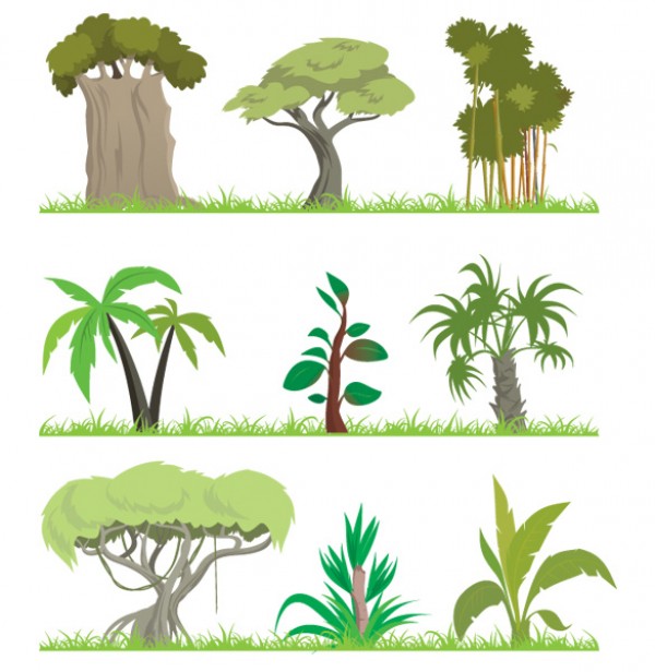 9 Vector Jungle Trees Illustrations web vectors vector graphic vector unique ultimate tropical trees topics quality photoshop palms pack original new modern jungle illustrator illustration high quality green fresh free vectors free download free download design creative ai   