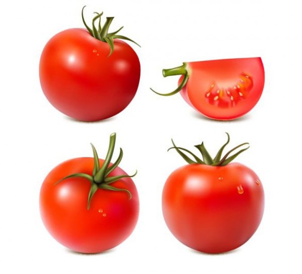 Juicy Red Tomato Vector Set web vector tomato vector unique ui elements tomatoes tomato stylish sliced red quality original new juicy interface illustrator high quality hi-res HD graphic fresh free download free eps elements download detailed design cut creative angles   