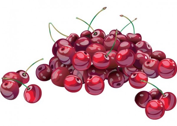 Fresh Juicy Red Cherries Vector Graphics web vector unique ui stylish red quality pile original new juicy interface illustrator illustration high quality hi-res HD graphic fruit fresh free download free elements download detailed design creative cherry cherries   