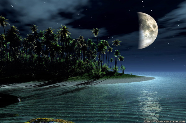 Midnight Moonlight Reflection Background PSD web water unique ui elements ui tropical stylish sea reflection quality psd palms original ocean new moonlight reflection moonlight moon modern interface hi-res HD fresh free download free elements download detailed design creative clean background   