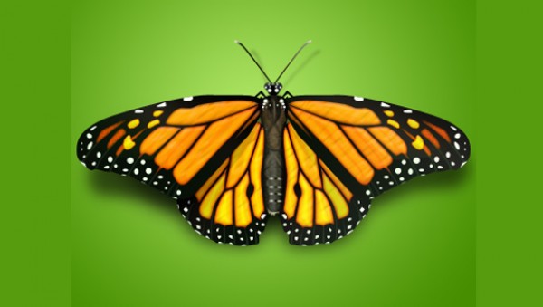 Beautiful Monarch Butterfly Icon PSD web vectors vector graphic vector unique ultimate ui elements quality psd png photoshop pack original new monarch modern jpg illustrator illustration icon ico icns high quality hi-def HD fresh free vectors free download free elements download design creative butterfly icon butterfly butterflies ai   