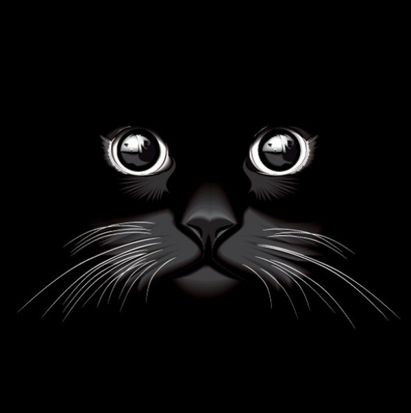 Black Shiny Cat Eyes Vector Illustration whiskers web vector unique stylish quality original illustrator high quality graphic fresh free download free eyes eps download design creative cat face cat eyes black cat   