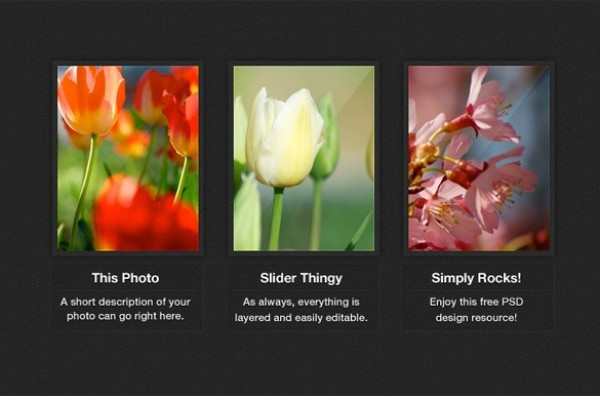 Dark Photo Gallery Thumbnails PSD web unique ui elements ui thumbnails stylish quality psd photography photo gallery original new modern interface hi-res HD gallery fresh free download free elements download detailed design creative clean   