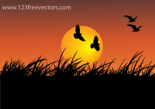 Sunset Flight Silhouette Vector Background web vectors vector graphic vector unique ultimate sunset sun silhouette red quality photoshop pack original orange new modern illustrator illustration high quality grassland grass fresh free vectors free download free download design creative birds background ai   