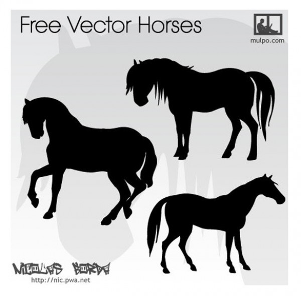 3 Amazing Horse Silhouettes Vector Graphics web vector unique ui elements stylish silhouette quality original new illustrator horse silhouette horse high quality hi-res HD graphic fresh free download free eps download design creative ai   