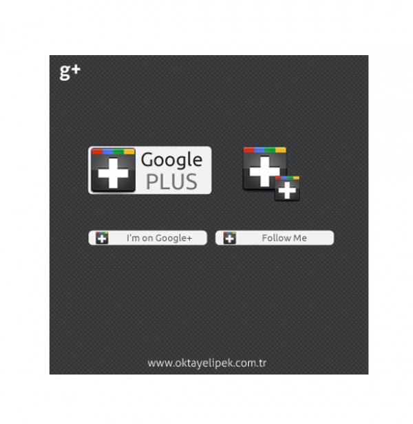 Google Plus Social Follow Me Icons web element web vectors vector graphic vector unique ultimate UI element ui svg quality psd png photoshop pack original new modern JPEG illustrator illustration icons ico icns high quality googleplus google plus GIF g+ fresh free vectors free download free follow me eps download design creative concept buttons ai   