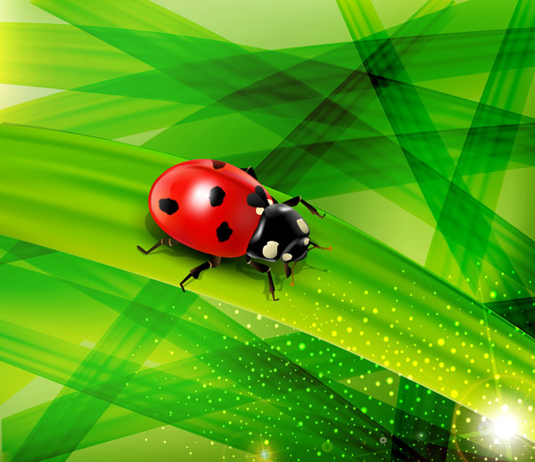 Leaves and Lady Bug Background web vector unique ui elements stylish splash red quality plants original new nature light leaves lady bug lady beetle interface illustrator high quality hi-res HD green graphic fresh free download free eps elements download detailed design creative background   