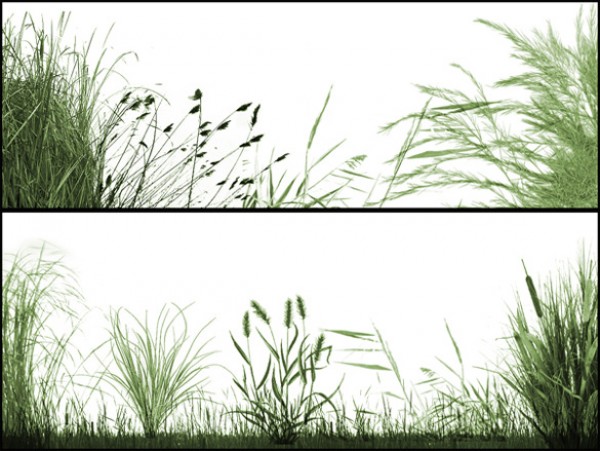 Wild PS Brushes Grassland Background wild grass wild web vectors vector graphic vector unique ultimate reeds quality photoshop pack original new nature modern illustrator illustration high quality green grassland grass fresh free vectors free download free ecology eco download design creative background ai   