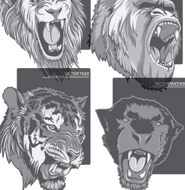 4 Ferocious beast picture vector material tiger roaring psd photoshop panther lion ilustrator gorilla free psd free downloads ferocious eps coredraw beast Animal ai   
