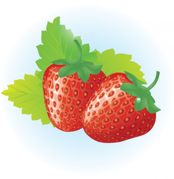 Juicy Red Strawberries Vector Graphic web vectors vector graphic vector unique ultimate strawberry strawberries red quality photoshop pack original new mouth watering modern juicy illustrator illustration high quality fresh free vectors free download free download design creative ai   