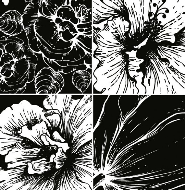 8 Striking Black Line Flower Vector Designs web vector flower vector unique stylish quality original illustrator high quality graphic fresh free download free flower drawing download design creative black line black and white flower background   