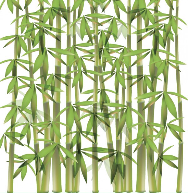 Green Bamboo Forest Vector Illustration web vectors vector graphic vector unique ultimate quality photoshop pack original new nature modern jungle illustrator illustration high quality green fresh free vectors free download free forest download design creative bamboo ai   