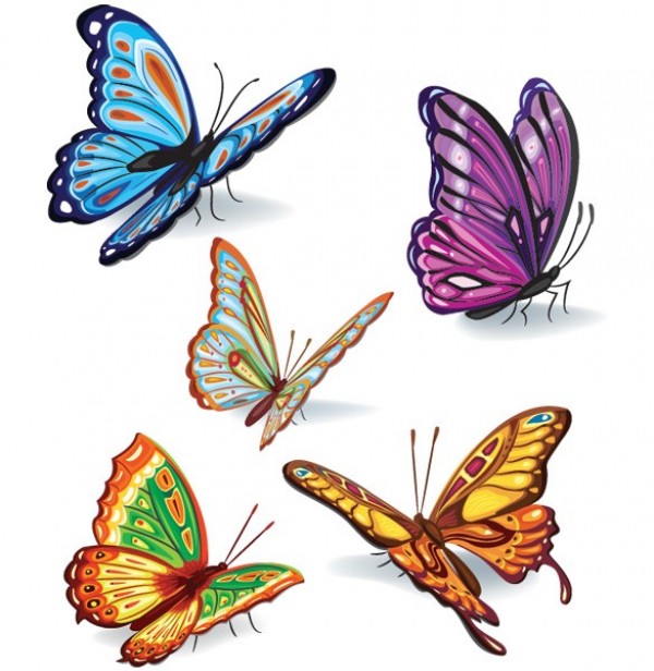 2 Beautiful Butterflies Vector Templates web vector unique template tattoo template stylish quality outlines original illustrator high quality graphic fresh free download free download design creative colorful butterfly outline butterfly butterflies   