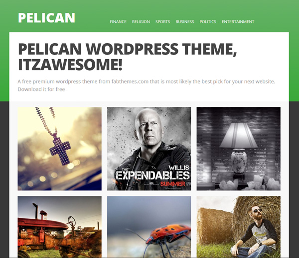 Pelican WordPress WP Photography Theme wp wordpress website ui elements theme portfolio php photography jquery image gallery free download free download css   
