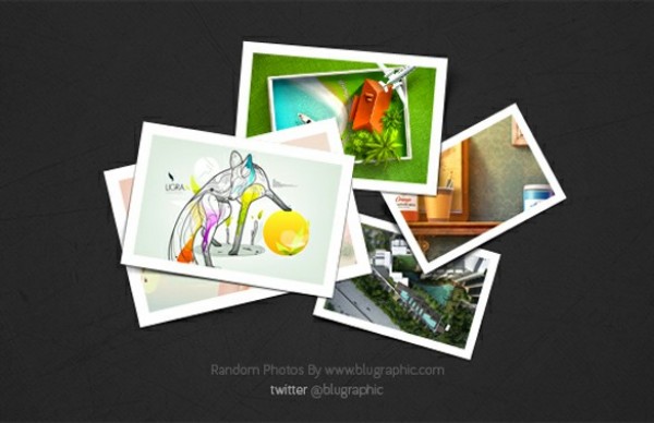 Framed Photo Image Random Display PSD web unique ui elements ui stylish selection random quality psd photos photo display original new modern interface images hi-res HD fresh free download free framed photos elements download detailed design creative clean   