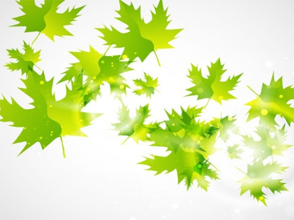 Glowing Green Maple Leaves Vector Background web vector unique sunlight sun stylish quality pdf original new maple leaves maple light leaves leaf illustrator high quality green graphic glowing fresh free download free download design creative background ai   