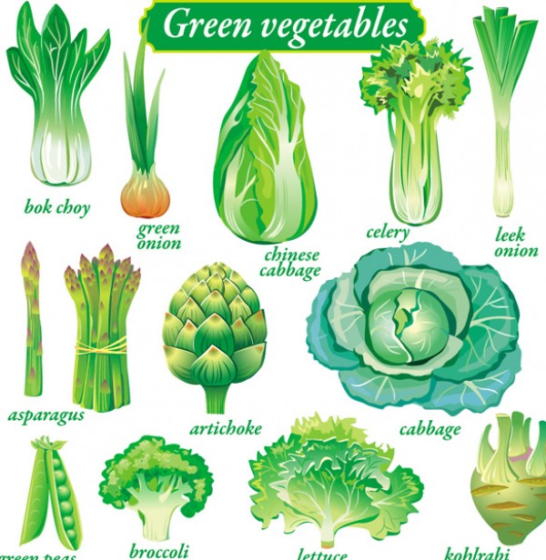18 Delicate Vegetables Vector Pack vector pea onion garlic cabbage broccoli   
