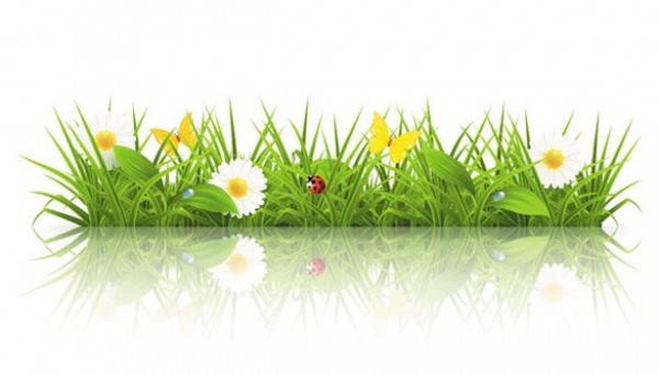 Reflection Spring Grass Floral Vector Background web vector unique stylish spring reflection quality original new ladybug illustrator high quality grass graphic fresh free download free eps download design daisies creative butterflies background   
