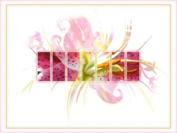 Morning Fantasy Floral Vector Background wallpaper vector unique stylish quality pink original orchid modern illustrator high quality graphic free download free flower floral fantasy download creative background abstract   