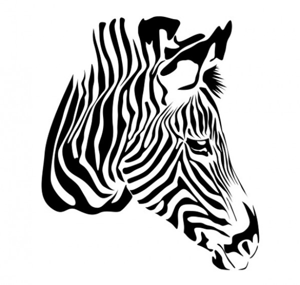 Black Striped Zebra Vector Illustration zebra web vector unique ui elements stylish quality profile original new interface illustrator high quality hi-res head HD graphic fresh free download free eps elements download detailed design creative cdr black and white ai   