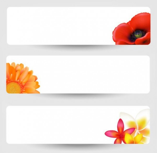 3 Simple Fresh Floral Banners Vector Set white web vector unique ui elements stylish simplistic set rounded quality original new interface illustrator high quality hi-res HD graphic fresh free download free flower banner flower floral banner eps elements download detailed design creative banners   