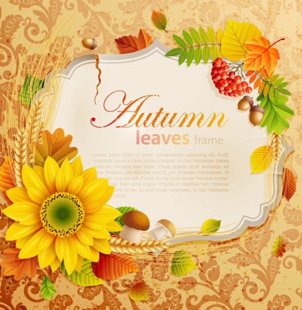 Bright Autumn Leaves Flower Vector Frame wheat web wallpaper vintage vector unique ultimate ui elements sunflower stylish quality pack original orange new nature modern leaves leaf interface illustration high quality high detail hi-res HD graphic fresh free download free frame elements download detailed design creative berries autumn acorns   