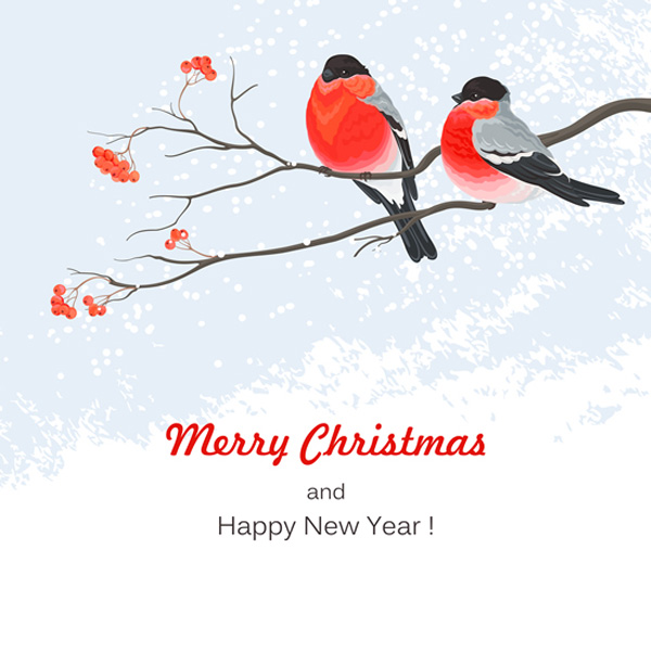 Christmas Card Snow Bird Background winter vector seasons greetings scene new year merry christmas free download free christmas card birds background   