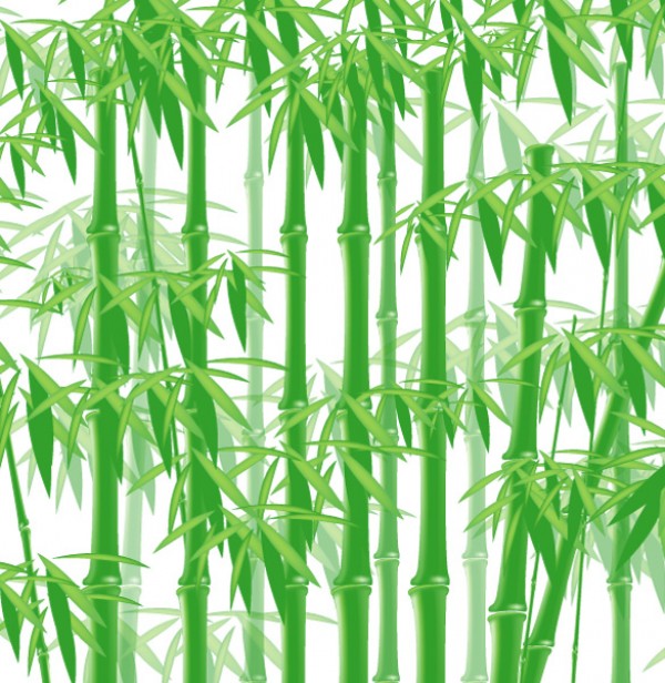 Green Bamboo Vector Forest web vectors vector graphic vector unique ultimate ui elements quality psd png photoshop pack original new modern jpg illustrator illustration ico icns high quality hi-def HD green fresh free vectors free download free forest elements download design creative bamboo background ai   