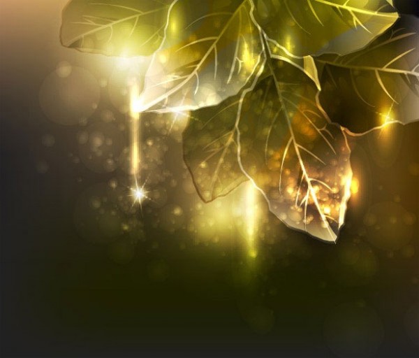 Glowing Forest Sunlight Vector Background web vector unique tree sunlight stylish quality original new nature morning light light leaves illustrator high quality graphic fresh free download free forest download design creative background   