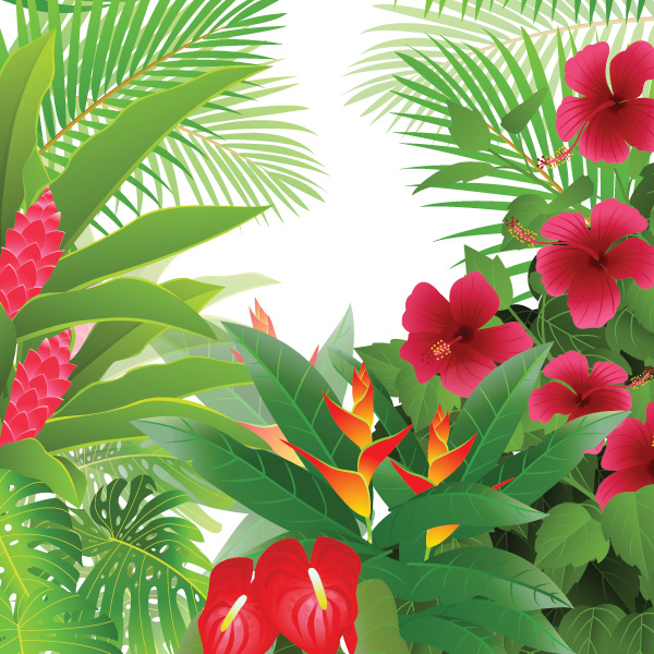 Tropical Flower Palm Trees Jungle Background vector tropical palm trees jungle hibiscus green leaves free download free forest flowers bird of paradise   