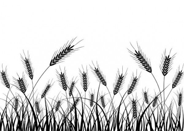 Natural Ears of Wheat Silhouette Vector Background wheat stalks wheat web vector unique ui elements stylish silhouette quality original new interface illustrator high quality hi-res HD grasses grass graphic grain fresh free download free eps elements ears download detailed design creative background   