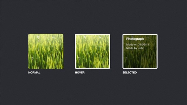 Useful Gallery Photo States PSD web unique ui elements ui stylish state simple selected quality photo original normal new modern interface hover hi-res HD gallery states gallery fresh free download free elements download detailed design creative clean   