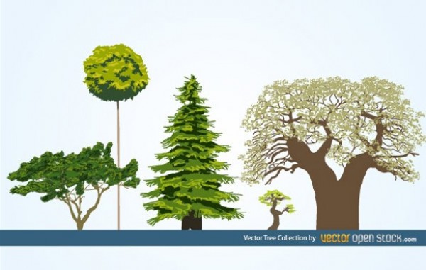Natural Trees Vector Collection web vector unique ui elements trees stylish set quality original old tree oak new nature natural trees interface illustrator high quality hi-res HD green graphic fresh free download free evergreen elements ecology eco download detailed design deciduous creative bonsai ai abstract   