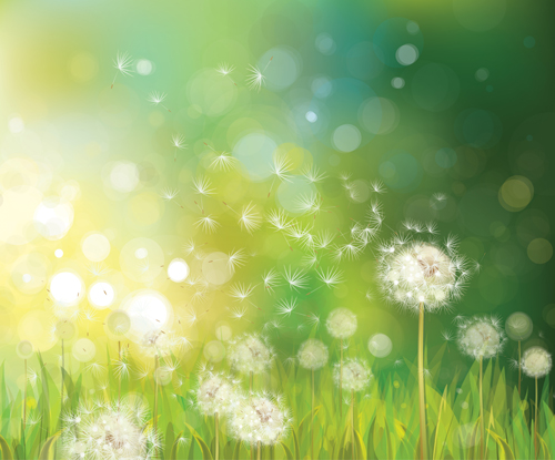 Dandelion and green nature background vector nature green dandelion background   