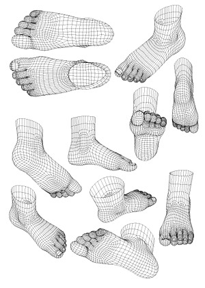 3D model of human foot style vector lines feet   