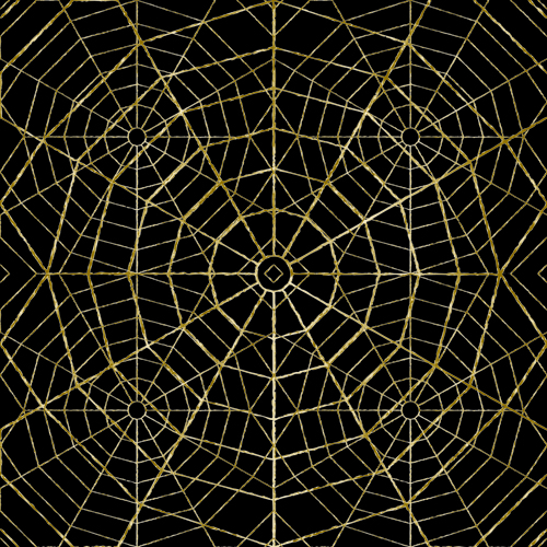 Set of Spider web vector background 03 spider web spider   