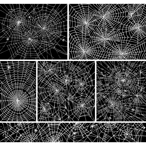 Set of Spider web vector background 01 spider web spider   