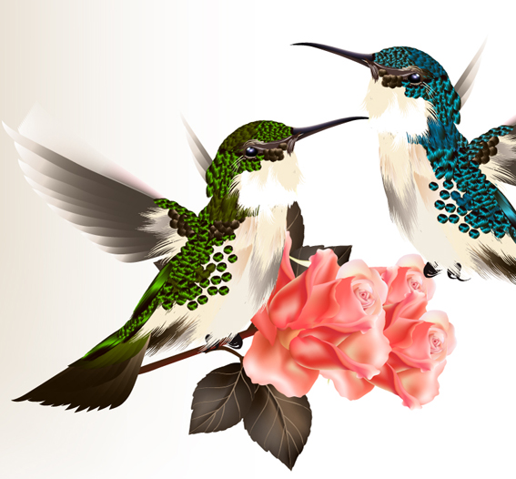 Hand drawn hummingbird vector material 02 material hummingbird hand drawn   