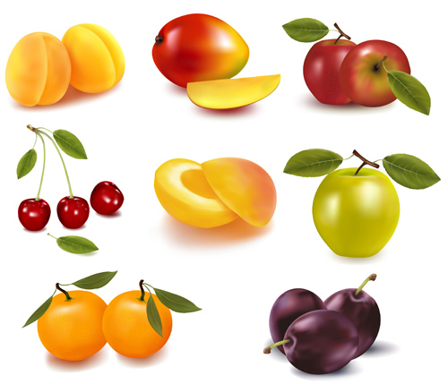 Realistic fruits icons vector material 02 vector material realistic icons icon fruits fruit   