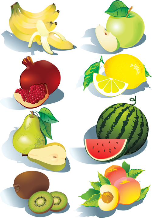 Realistic fruits icons vector material 01 vector material realistic material icons icon fruits   