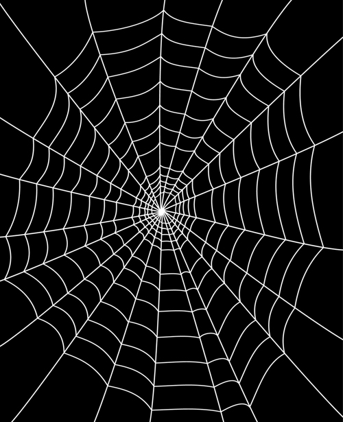 Set of Spider web vector background 02 spider web spider   