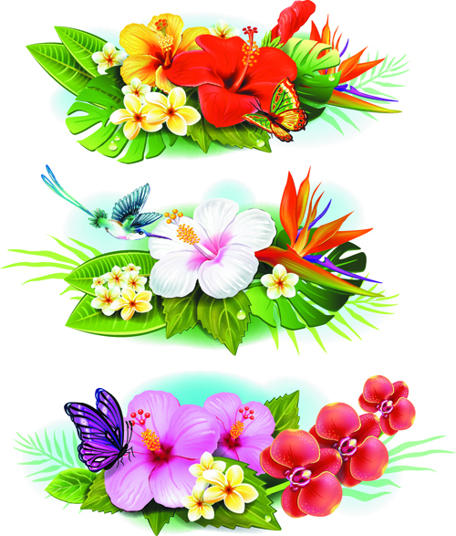 Flowers borders vector set 04 flowers flower   