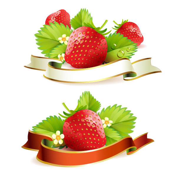 Fresh strawberry elements background vector 03 strawberry fresh elements element   