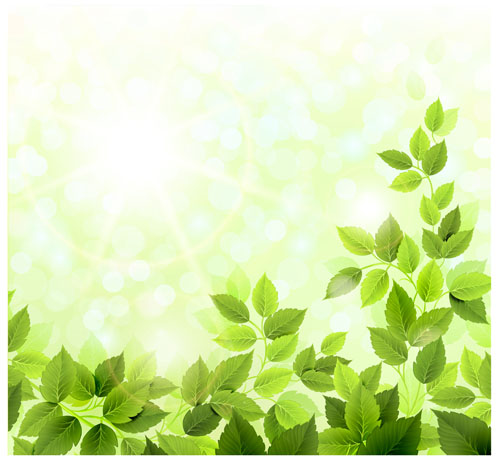 Green leaves with sunlight design vector sunlight leave green leaves green   