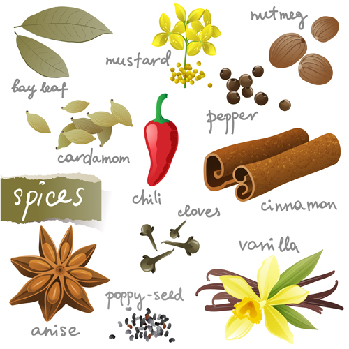 Various spices design vectors set 03 Various spices   