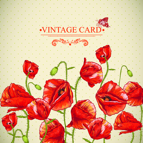 Retro red poppies cards vector graphics 04 vector graphics Retro font red poppies   