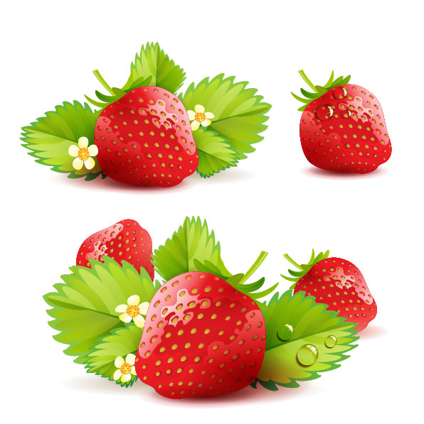 Fresh strawberry elements background vector 05 strawberry fresh elements element   