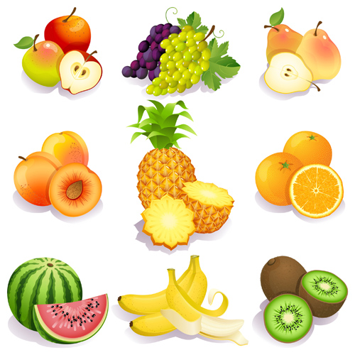 Realistic fruits icons vector material 03 vector material realistic material icons icon fruits fruit   
