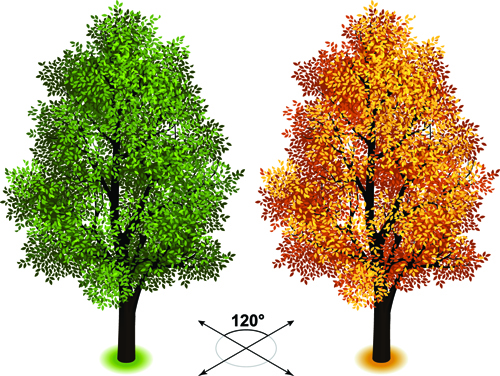 Creative isometric trees design vector 03 trees isometric creative   